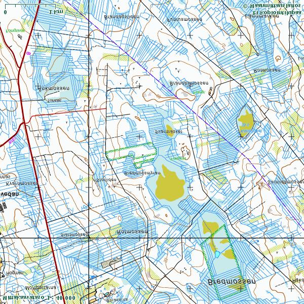 Kartta 2. Lepakkohavainnot selvitysalueella.