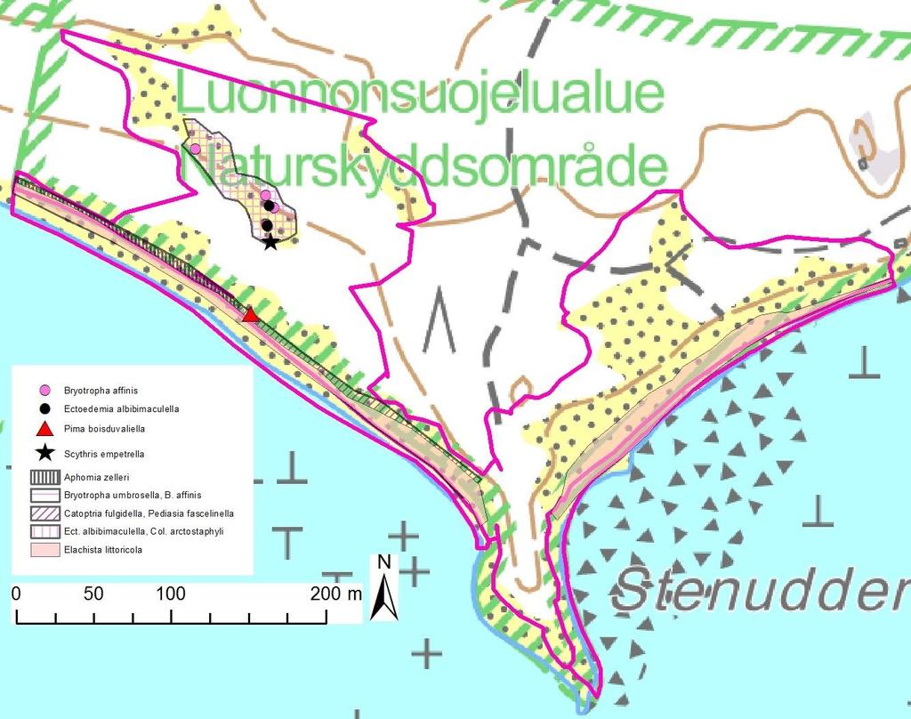 9 Kuva 8.9. Muilla kasveilla kuin ketomarunalla ja kangasajuruoholla elävien