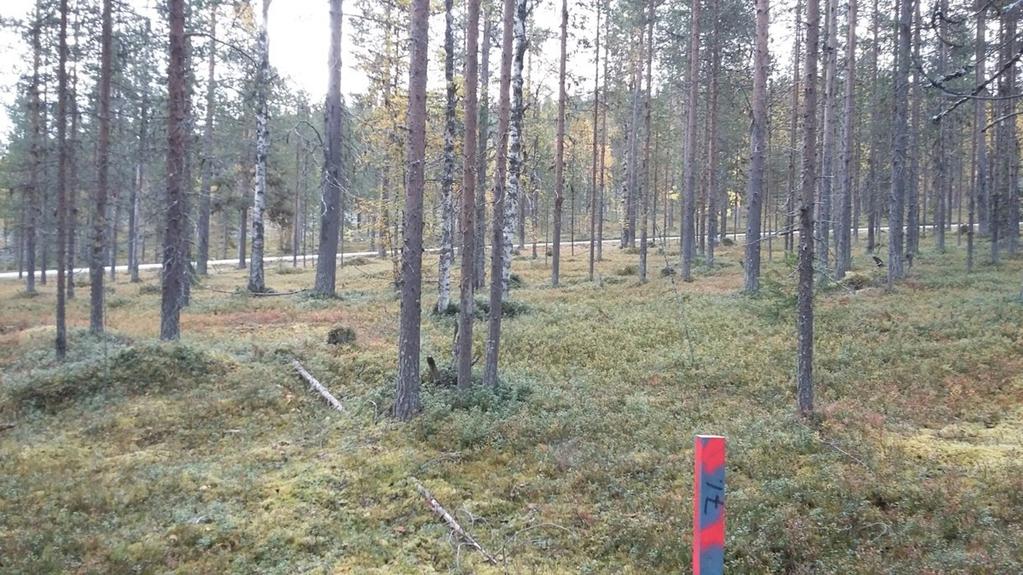 15 3.1.4 Maanomistus Kaavoitettavat alueet ovat kunnan ja yksityisten maanomistajien omistuksessa.