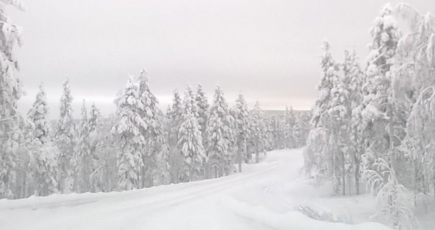 kokoojakadusta. Kuva 17. Kaavarunkoluonnos 2 tukeutuu liikenteellisesti Levin ympärystiehen Utsuvaaran alarinteen puolelta Golfrannantien risteyksen läheisyydessä.