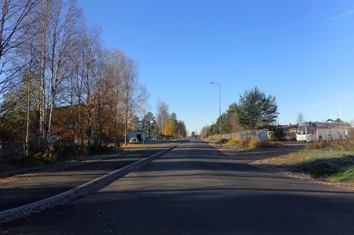 Kummuntien länsipuolella varrella kasvaa koivuja ja alue on hoidetussa kunnossa.