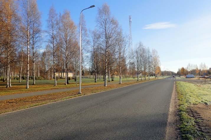 Kummuntien ja Tehtaantien välisillä yritysalueen tonteilla kasvaa puustoa, mikä luo