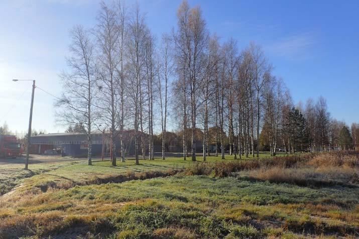 Teollisuusalueen julkisivu Veturitien suuntaan on jokseenkin jäsentymätön, eikä se anna kuvaa vireästä yritysalueesta.