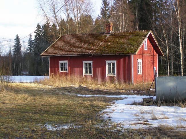 Sylvin olen nähnykki, mutte sitä piänt poikaa, mietiskeli Liisa kulkiessaan.