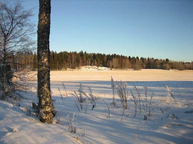 Vasemmalla peltomaisemaa tieltä katsottuna, taustalla Kappelniitunmäki. Alla kuljetaan kohti Santaveräjää. Liisan lapsuudessa tietä reunusti nuori koivukuja.