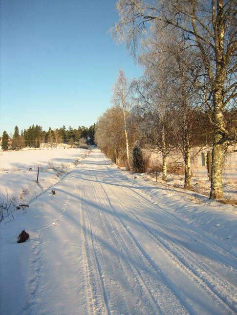 Lumikiteillä kuorrutetut omenapuut seisovat kuin sotilaat suorina rivistöinä kartanon puutarhassa, joka sijaitsee aivan päärakennuksen kohdalla, tien vasemmalla puolella.