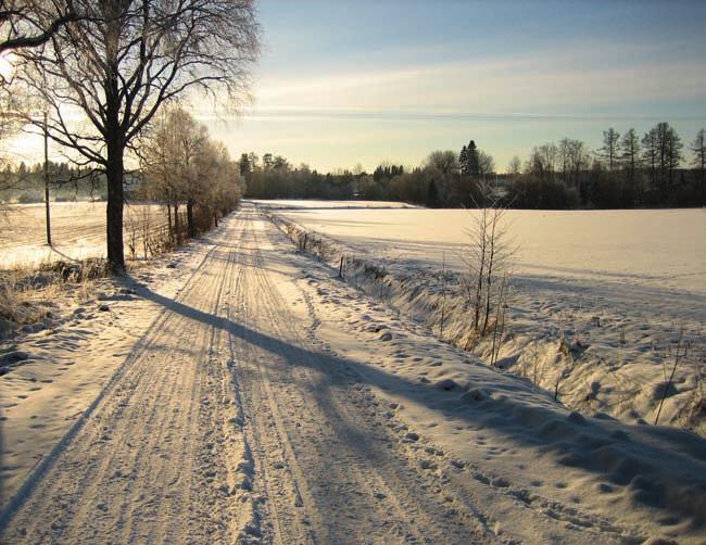 kivetty vesiuoma näytti paikalta johon ei tehnyt mieli pudota. Sieltä ei olisi helppo päästä ylös ja virta voisi viedä vaikka myllynkivien jauhettavaksi. Kauheaa, ajatteli Liisa.