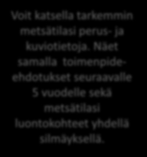 11 Voit katsella tarkemmin