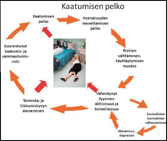 20 Kuvio 1. Kaatumisen vaaratekijät (Karinkanta, Piirtola, Sievänen, Uusi-Rasi & Kannus 2010). Ensimmäinen kaatuminen ei välttämättä aiheuta fyysistä vammaa, mutta se johtaa usein kaatumisen pelkoon.