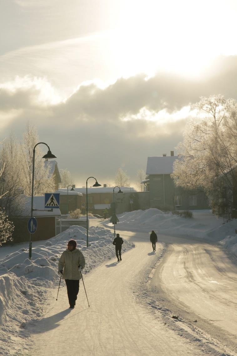 Kunnallispoliittiset tavoitteet tukevat liikunnan edistämistä Esimerkki: Kaupunkistrategia Oulu 2020: Asukkaat osallistuvat, liikkuvat ja edistävät kestävää elämäntapaa Kaupunkilaiset kantavat