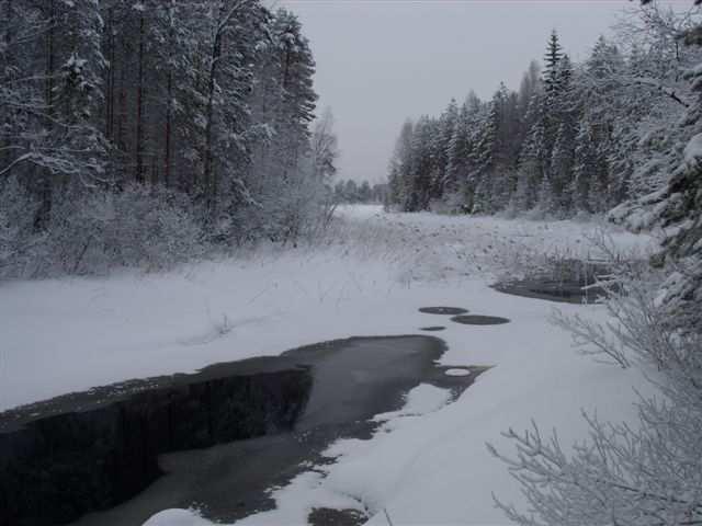 Kuutinkanavaa Repovedelle. Silloin ei vielä ollut Repoveden Kansallispuistosta mitään tietoa, mutta lähtijöillä oli alueelta tuolloin jo retkikokemusta niin kesä- kuin talviretkistäkin.