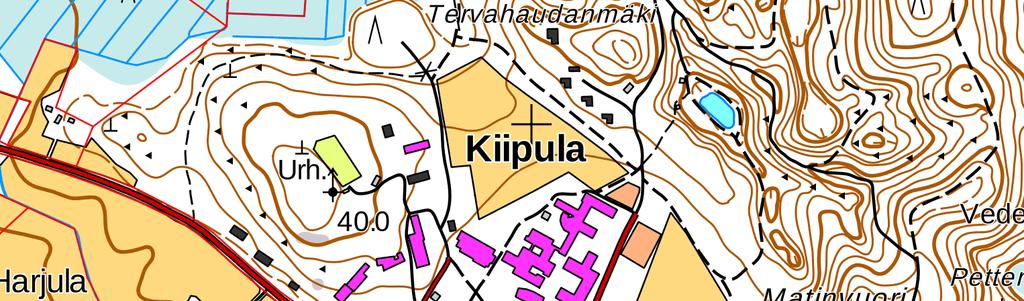TAUSTAA Kiipulasäätiön historia kytkeytyy vahvasti kahden yhteiskunnallisesti aktiivisen ja edistyksellisen perheen, Emma ja Edwin Hedmanin sekä Wilhelmiina ja Kustaa Kiipulan, elämäntyöhön.