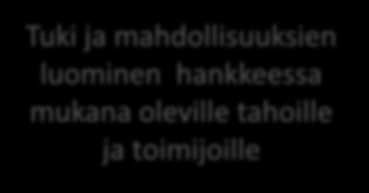 assistentti Valtakunnallinen ohjausryhmä Tuki ja mahdollisuuksien luominen hankkeessa mukana oleville tahoille ja toimijoille PPSHP /