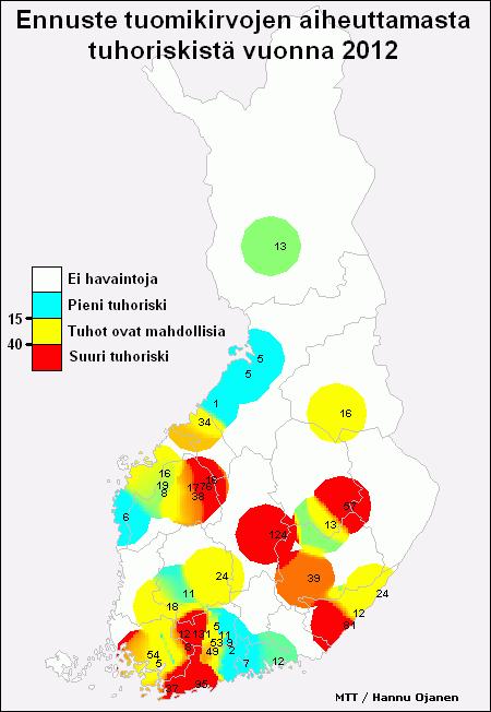 Tuholaisten seuranta kesällä 2012 Tuomikirvat Tuomikirvariski korkea (kuva 2) Havainnot kasvustosta