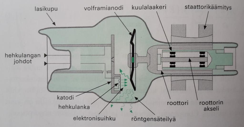 7 (63) 2 NATIIVIRÖNTGENKUVANTAMINEN Natiiviröntgentutkimuksiksi kutsutaan tutkimuksia, joissa kudosten erilaiset vaimenemiskertoimet riittävät muodostamaan kuvaan kontrastin.