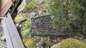 Porailin halkomispölliin keskelle reiän ja samoin allaolevaan kiveen, nyt pysyy pölli paikoillaan. Saunottiin illalla. La 10.6.