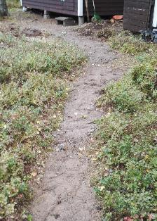 Lähdettiin taas puolukkaan, Tuija puolukassa minä hain kaksi kuormaa hiekkaa/soraa samasta puokamasta. Hiekan kaatelin tuohon poluille tasoittamaan juurakkoja.