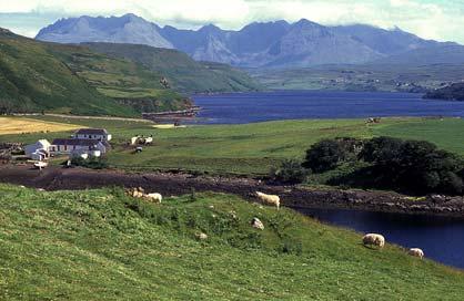 Islannin ja Färsaarten jälkeen poikkesimme vielä Skotlannin saarilla Shetlannissa ja Orkneyllä