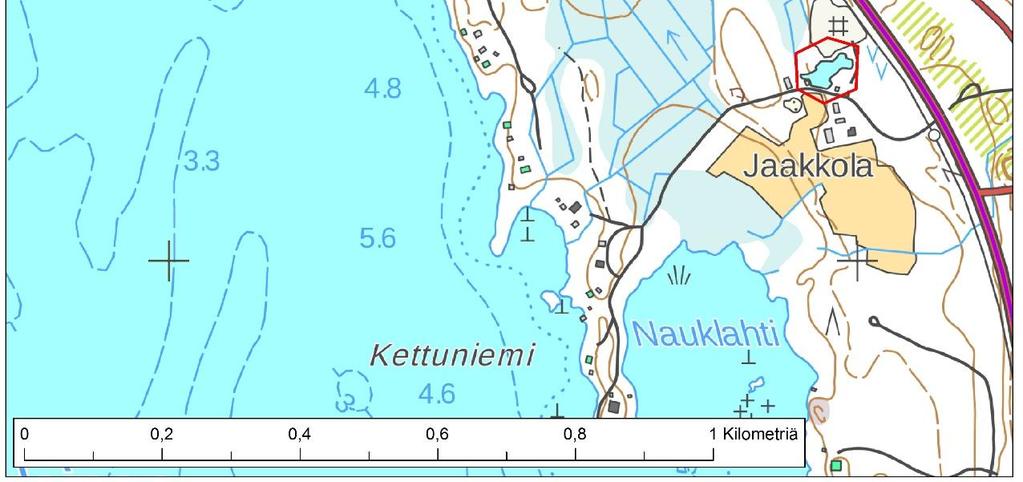 Markunlahden rannoilla vallitsee luhtainen kasvillisuus ja ranta on myös melko