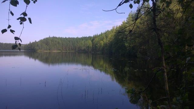 talousrakennusten lukumäärä on enintään neljä.
