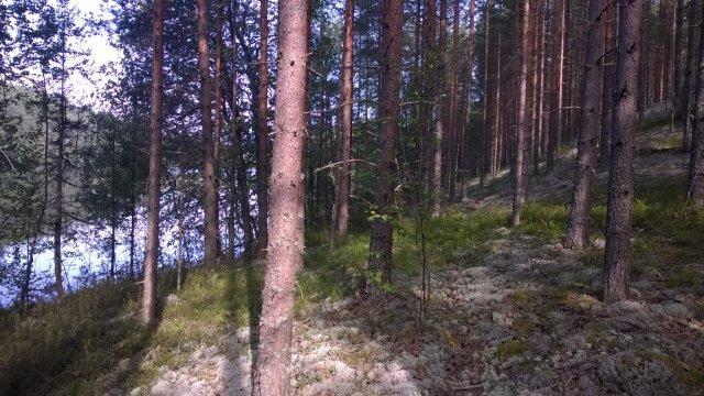 arvokkaita alueita. Ranta-asemakaavalla suunnittelualueelle on osoitettu 8 erillistä korttelialuetta.