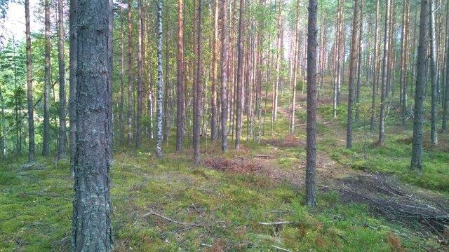 eteläosassa.