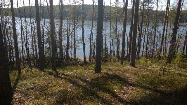 männikköä, erinomainen rakennettavuus Korttelialue 6
