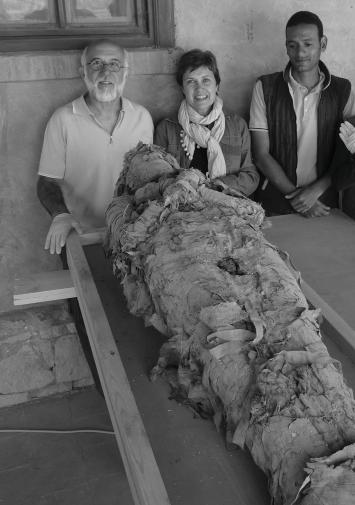 Elena Garcia-Guixé et al. Some of the human remains found in the boxes exhibited interesting pathologies (Olásolo et al. 2011).