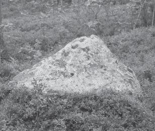 Figure 2. A cup-marked stone near the site.