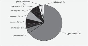Kuva 14. Oulu, Tahkokangas. Latomus 8, rakennekivet. Kaaviossa on kuvattu kivien värijakauma prosentteina.