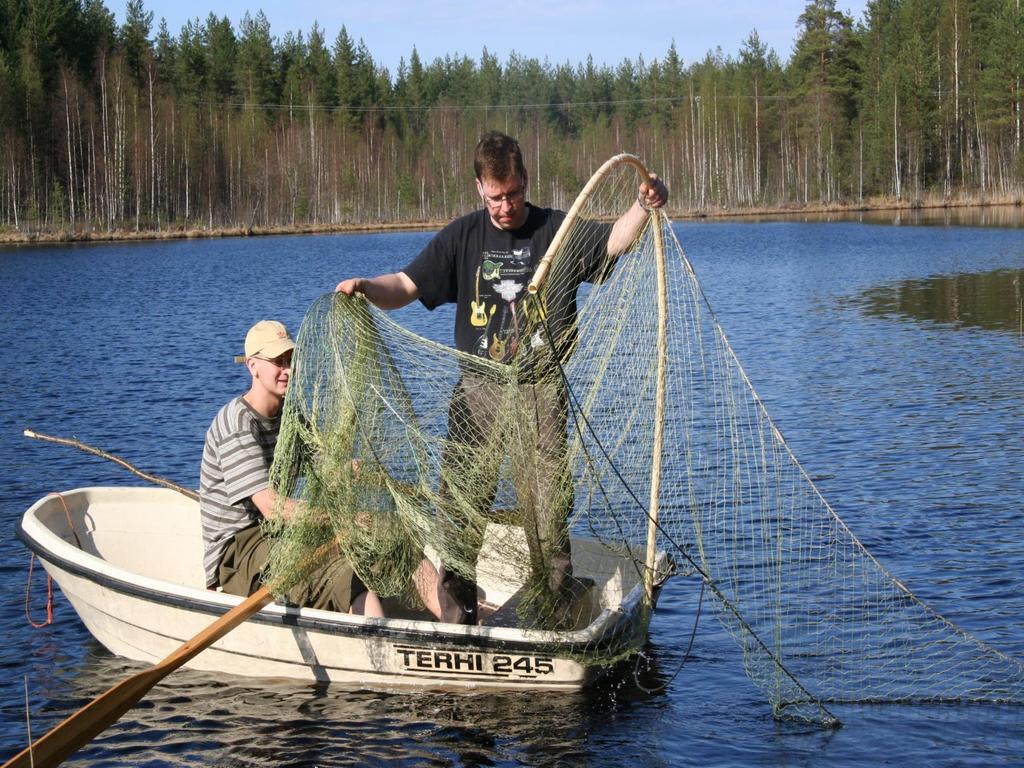 Kokeelliset haukikalastukset Evon järvillä Välimittasäätely (4-6 cm) vs. alamittasäätely ( 4 cm).