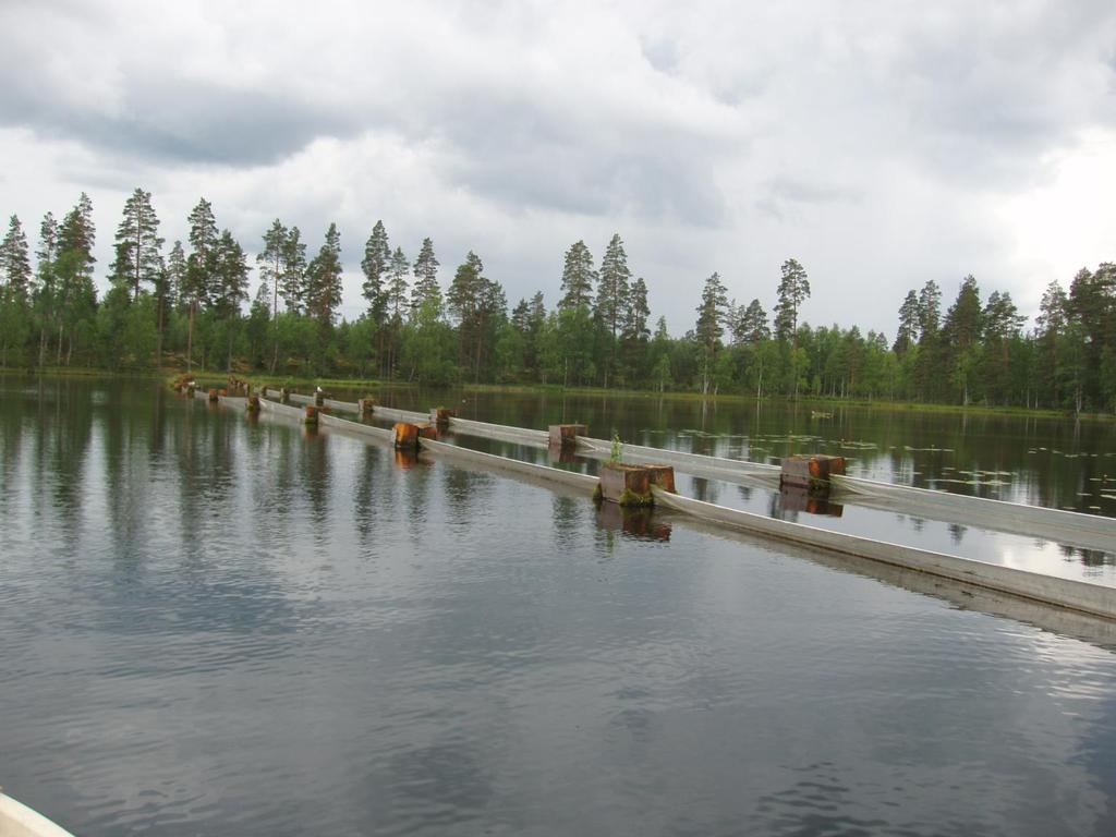 Kokeellinen ahvenen kalastus kahtia jaetulla Evon Isolla Valkjärvellä (IVA) Ylämitta (16 cm) vs.