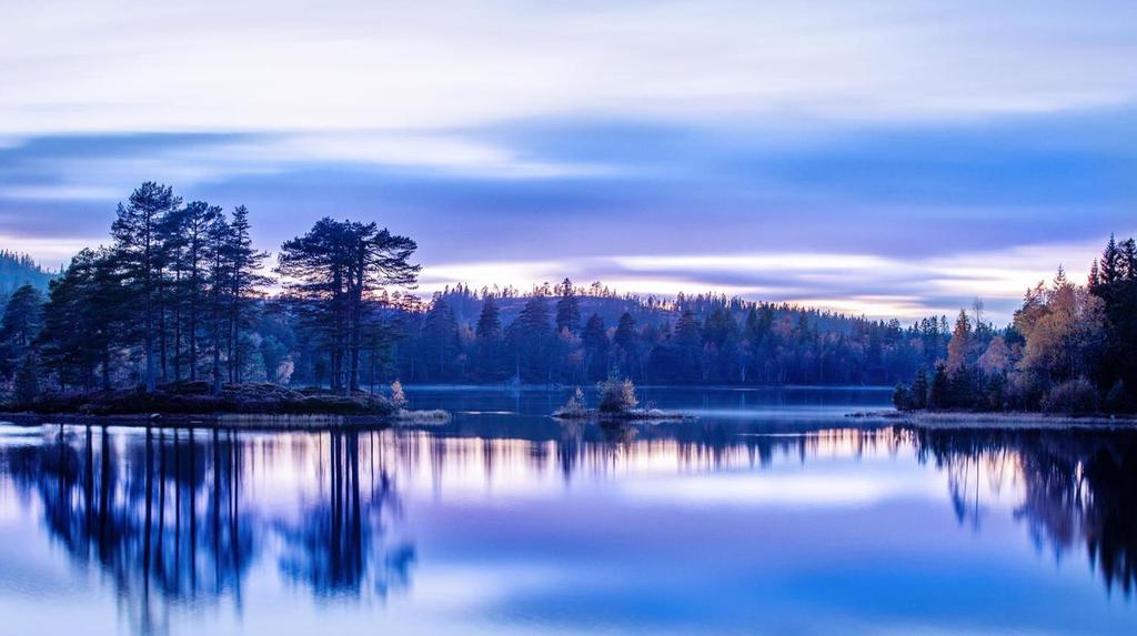 FINNISH