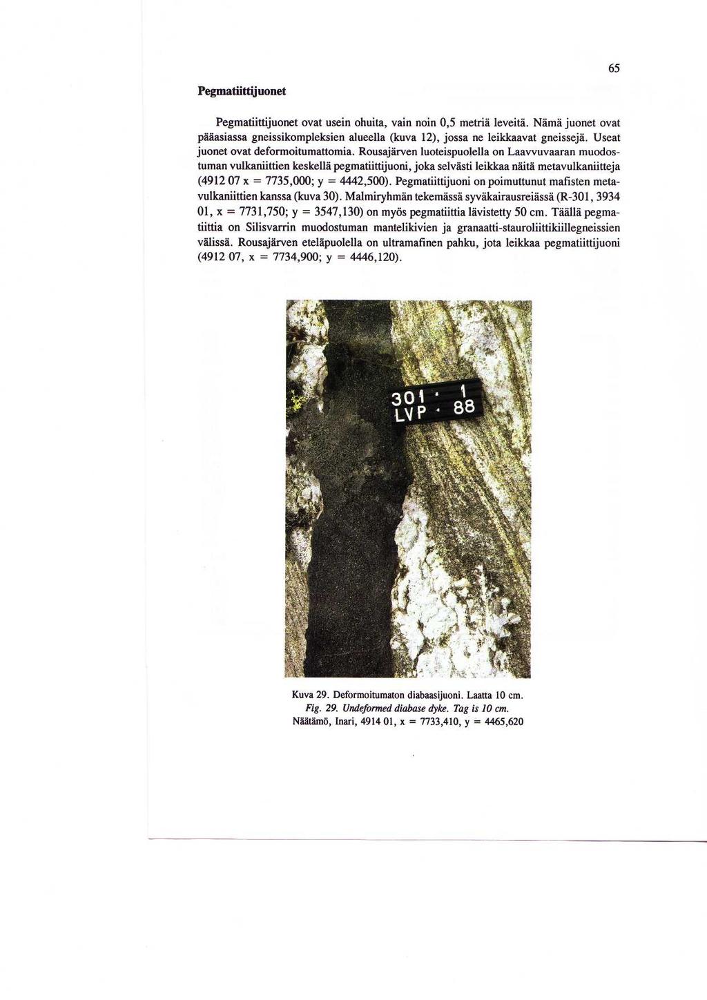 6 5 Pegmatiittijuonet Pegmatiittijuonet ovat usein ohuita, vain noin 0,5 metric leveita. Nama juonet ovat paaasiassa gneissikompleksien alueella (kuva 12), jossa ne leikkaavat gneisseja.