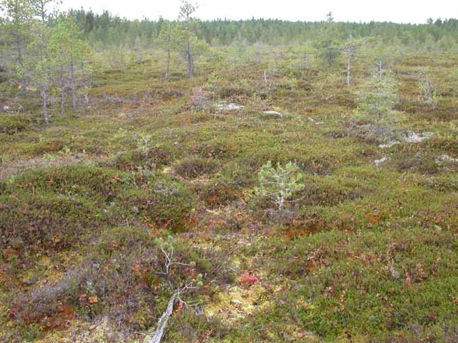 Stormyranin tutkimus- ja syvyyspisteet.