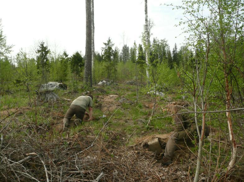 Yllä. T Sepänmaa