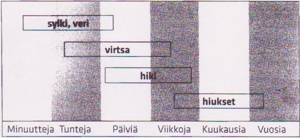 13 on mahdollista vain muutamia tunteja, korkeintaan muutama päivä, eikä se sovellu pitkäaikaisemman käytön toteamiseen.