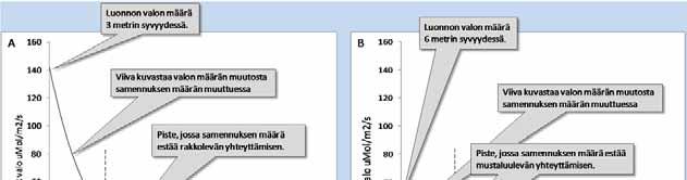 12.YMPÄRISTÖVAIKUTUKSENARVIO Yhteenvetoonesitettytaulukossa6sivulla29.