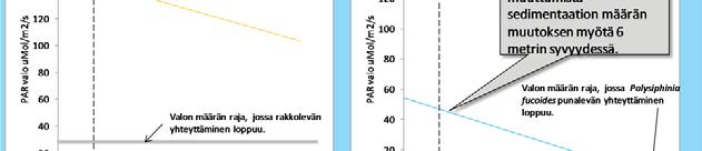 Rakkolevän kompensaatiopiste eli valon minimimäärä yhteyttämistä varten, on kuvattu harmaalla viivalla.