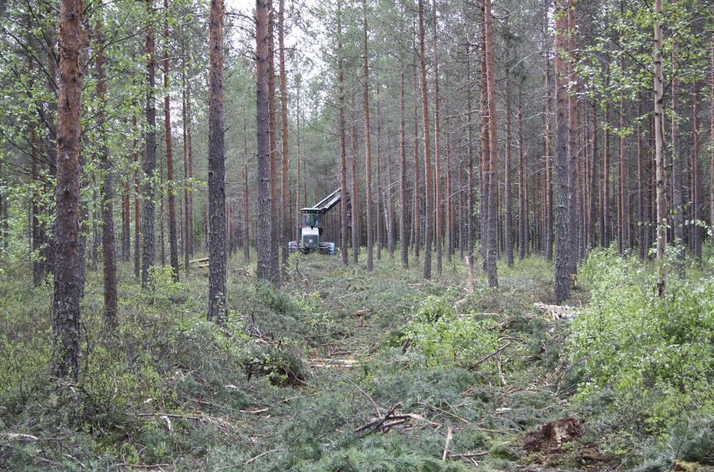 Suometsien puunkorjuun kehittämistavoitteet, Stora Enso Wood Supply Finland Tapio Oy:n Monipuoliset