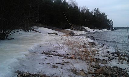 Alueella kasvaa sekametsää, jossa vallitsevana puulajina on mänty ja kuusi. Puusto on verraten nuorta. Osa alueesta on kitumaata.