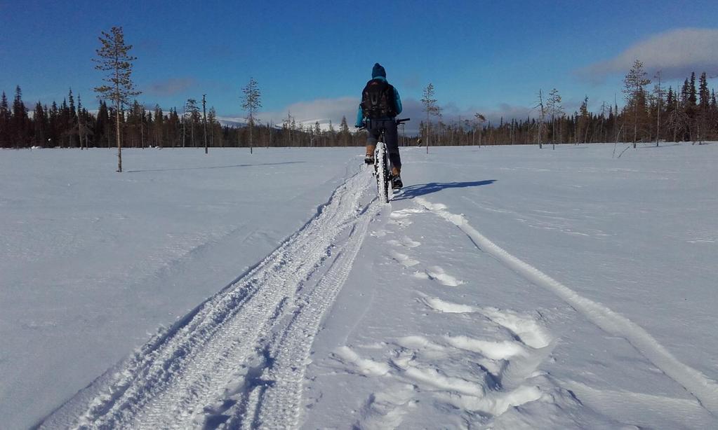 Vetovoimainen luonto