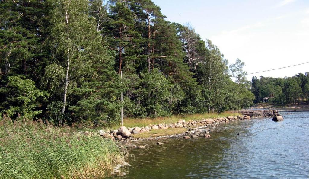 LILLA BODÖ Lilla Bödö on jaettu kahteen osa-alueeseen. Luoteisosa on sataman täyttömaakenttää, jota käytetään pysäköintialueena. Lounaisosa (osa-alue 6 kuvassa 2) on metsää ja piha-aluetta.