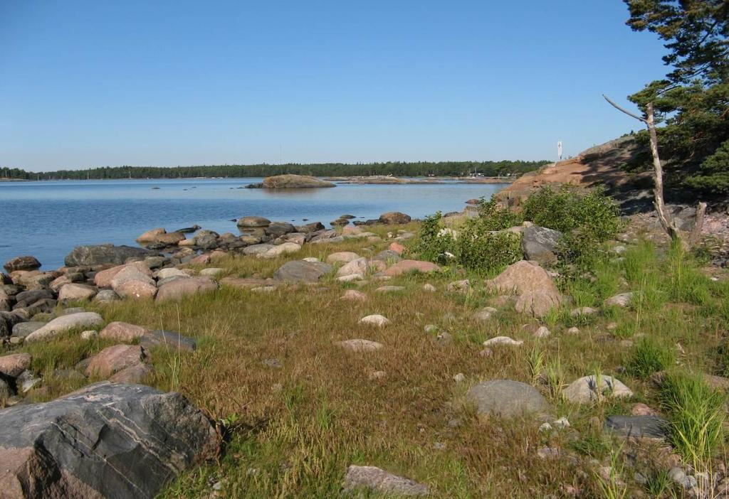 Stora Bodön puoleisen ranta-alueen kasvillisuus oli samanlaista, mutta edellä mainittujen lajien lisäksi kasviharalla saatiin merihauraa. Salmen keskiosan kasvillisuus on laikuittaista.