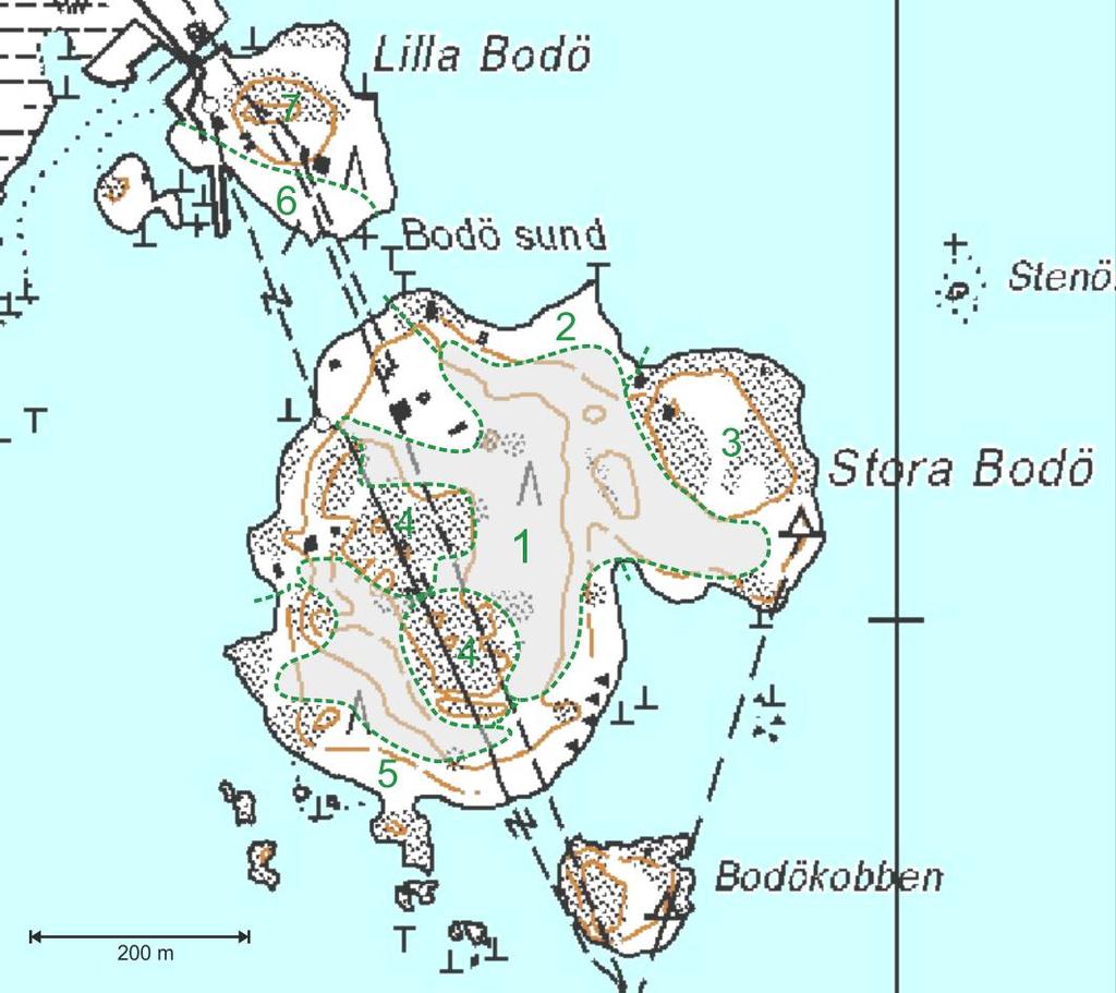 4 TULOKSET 4.1 LUONNONOLOJEN YLEISKUVAUS STORA BODÖ Saari on jaettu seuraavassa kuvauksessa viiteen osa-alueeseen. Osa-alue 1. Saaren sisäosa on hakattu lähes paljaaksi talvella 2008/2009.