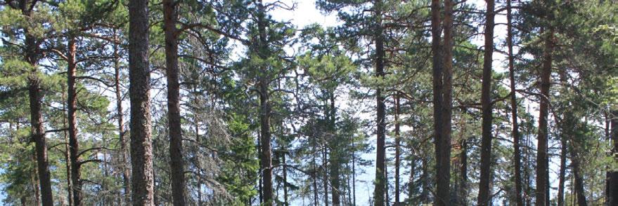 Itäinen