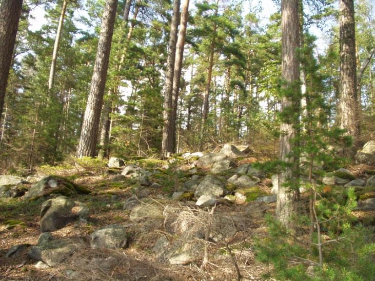 lounaisosan palstaa.