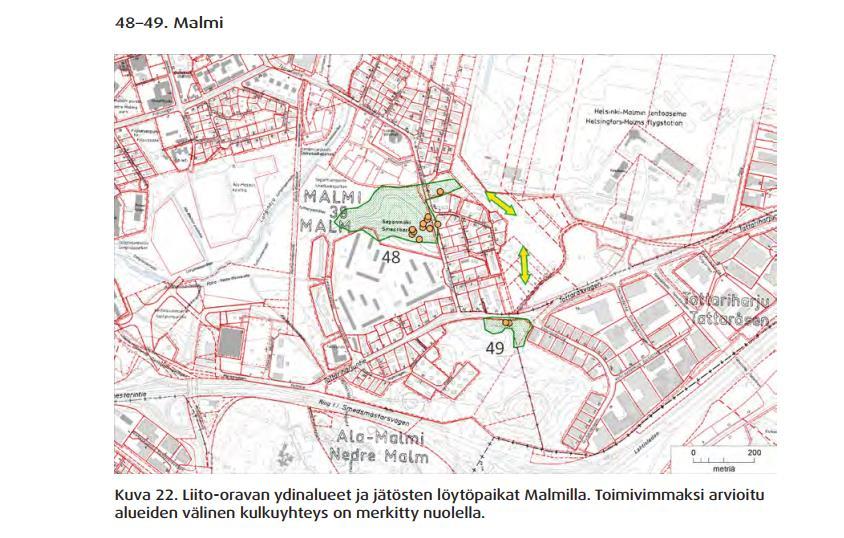 Helsingin kaupungin liito-oravaselvityksessa 2016 (LIITE 6) kuvataan liito-oravan asuinalue Malmin lentokentän eteläosassa.