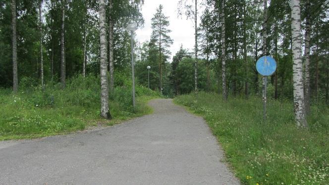 Suositukset: Alueen pohjoisosassa on järeä kolopuukoivu, joka tulee säästää. Myös riittävästi kolopuut ympäröivää puustoa tulee säästää, varsinkin läheiset tiheäoksaiset järeät kuuset.