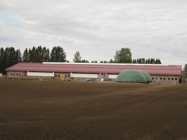 Maatilamittakaavan biokaasulaitos Maaningalla Toiminnassa kesästä 2009 Suunnittelu ja rakentaminen Metener Oy Syöttö Lehmän lanta 3500 m 3